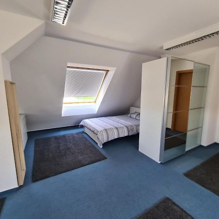6 Bedroom Private Apartment & Lounge Rostock Eksteriør bilde